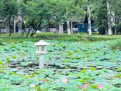 -咸阳湖景区-统一广场