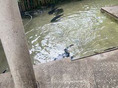 -大理老字号·舟渔的鱼野生菌海景餐厅(双廊店)