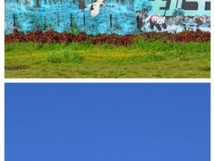 -深圳野生动物园