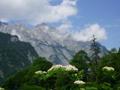 -柯尼希湖