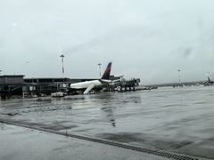 -米兰-马尔彭萨机场