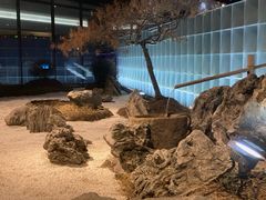 -水悦汇