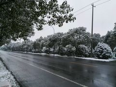 -必胜客(吾悦国际广场店)