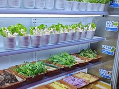 -领鲜活海鲜榴莲自助火锅(东门店)