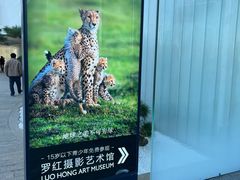 -罗红摄影艺术馆