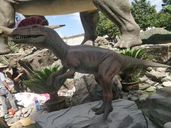 -陕西自然博物馆