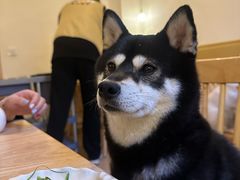 -柴の食堂·日式家庭料理·熊之肆(大学路店)