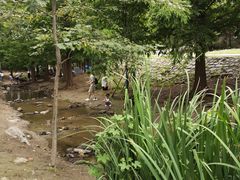 -白水寺森林公园