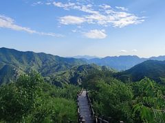 -大岭沟猕猴桃谷风景区