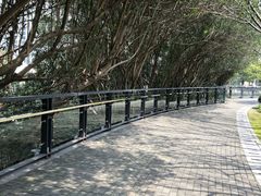 -苏州河梦清园环保主题公园