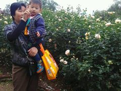 -人民公园(罗湖区)