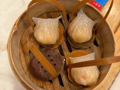 -金鼎轩(远大路金源店)