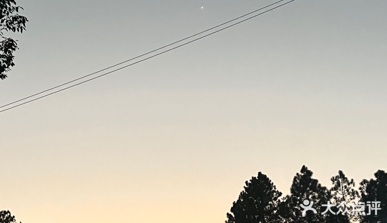 吃货日记｜近日美食合集📝