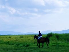 -坝上草原大汗行宫旅游景区