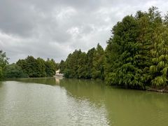 -上海海湾国家森林公园