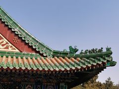 -郭靖内蒙菜·烤全羊·烧烤(望京旗舰店)