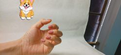 -JH佳卉美甲美睫