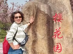 -高东镇樱花园