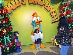 -奥兰多迪士尼动物王国乐园