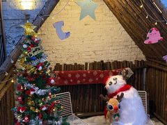 -大象厨房(重庆道店)