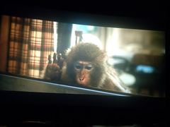 -中影傲视国际影城(三乡全景声激光店)