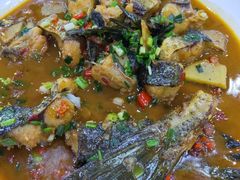 -全乐鱼馆·淳牌有机鱼直营店
