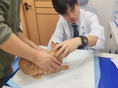 -博特宠物医院24h犬猫全科.骨科·异宠