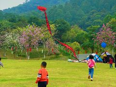 -火炉山森林公园