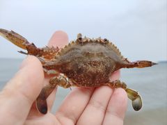 -烟台金沙滩海滨公园