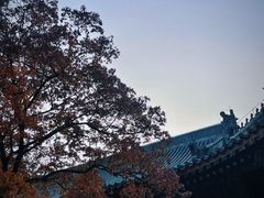 -香山公园