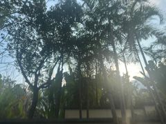 -广州从化都喜泰丽度假温泉酒店