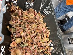 -草墩罗非鱼庄•野生菌•腊排骨(七星街上段店)