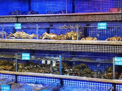 水产区-青蓬蒸汽海鲜·深圳老字号·团建聚会(壹方城店)