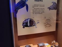 -天津自然博物馆