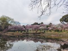 -无锡梅园公园