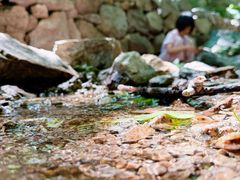 -大岭沟猕猴桃谷风景区