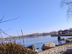 -石家庄市植物园