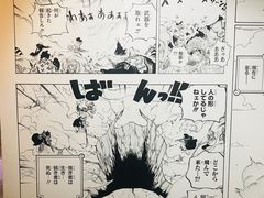-东京塔海贼王主题公园