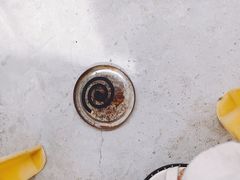 -鸿渡渔庄·特色鸭咀鱼