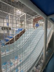 -MELAND(大融城店)