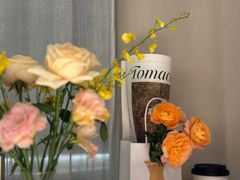-Tomacado花厨(One ITC店)