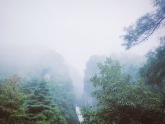 -苍山感通索道