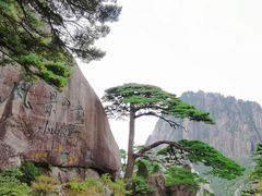 -黄山风景区