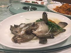 -海逸海鲜酒家(古北店)