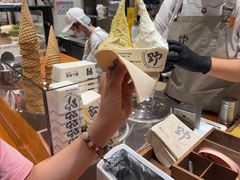 -野人先生现做冰淇淋(北京环宇荟店)