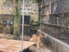 -海南热带野生动植物园