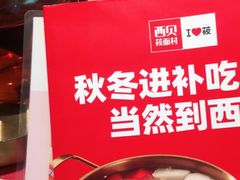 -西贝(东城万达广场店)