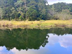 -海南热带雨林国家公园吊罗山景区