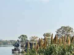 -海珠湖公园