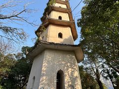 -江心屿景区